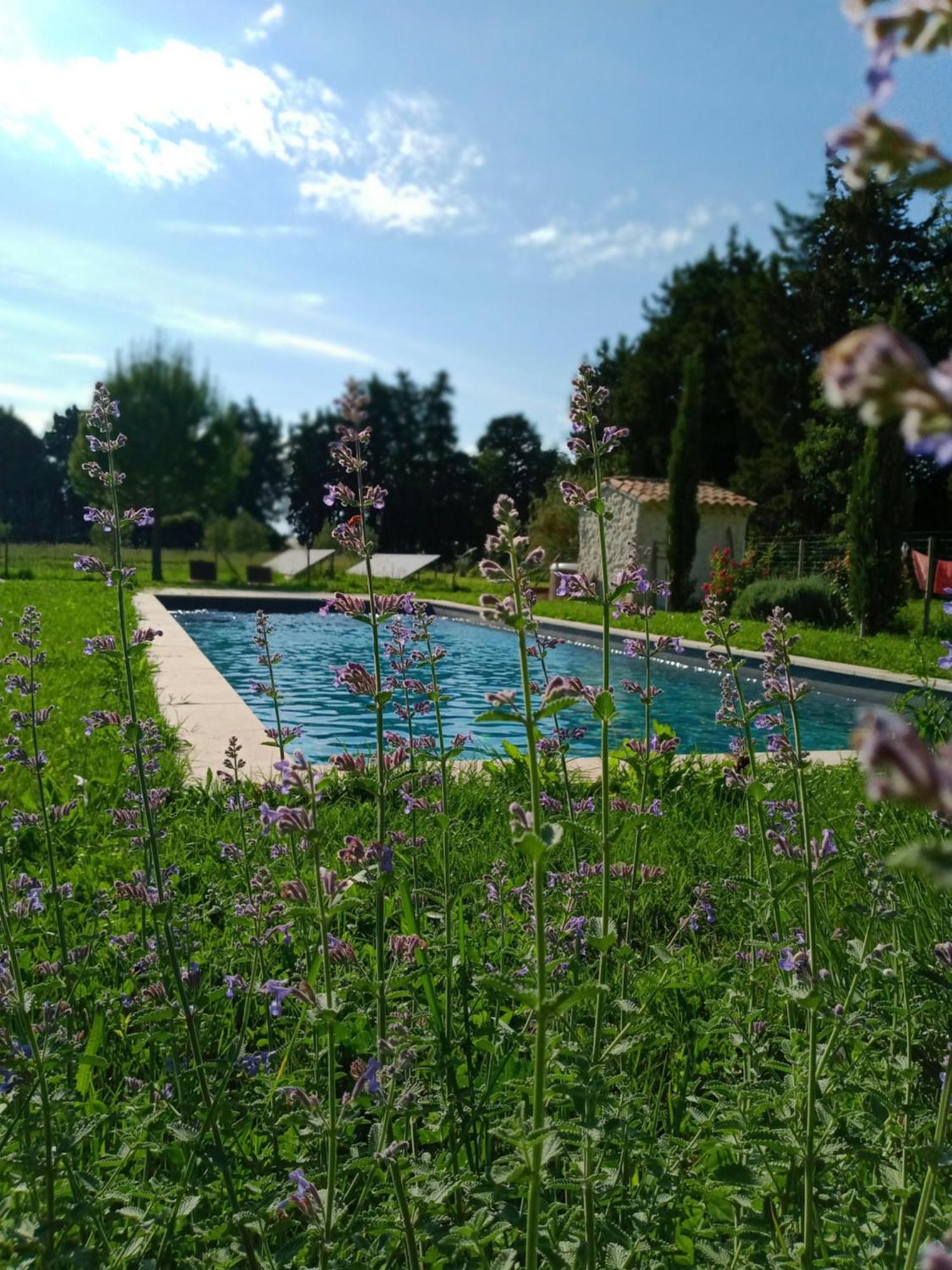 Mas De Karlotte Apartman Pernes-les-Fontaines Kültér fotó