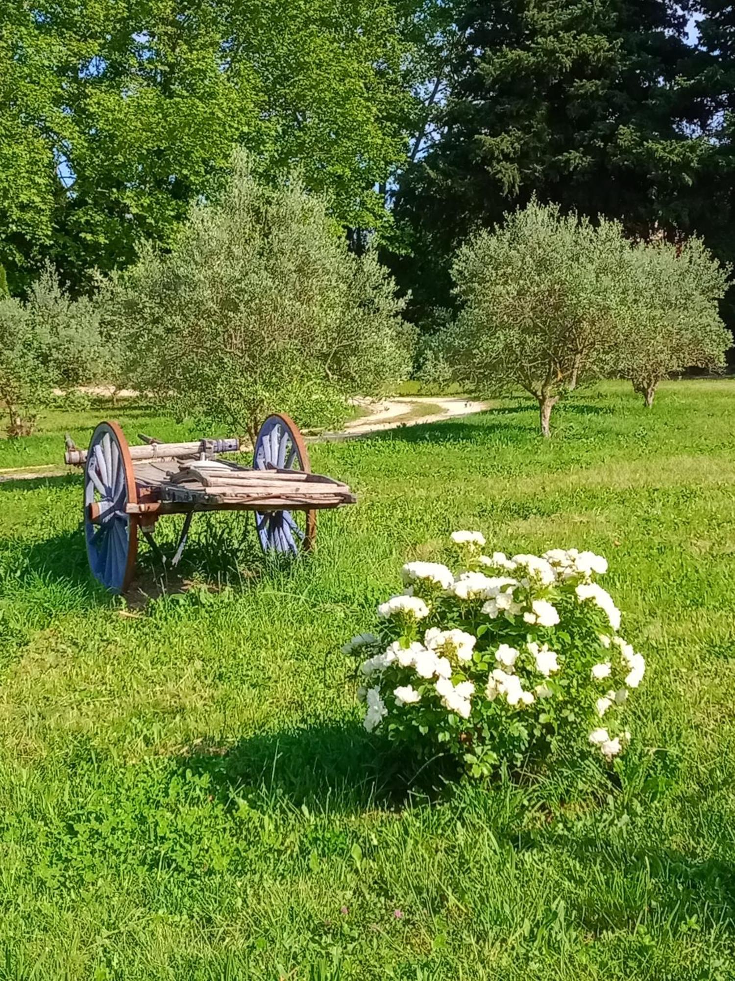 Mas De Karlotte Apartman Pernes-les-Fontaines Kültér fotó